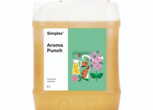Simplex Aroma Punch 5 л